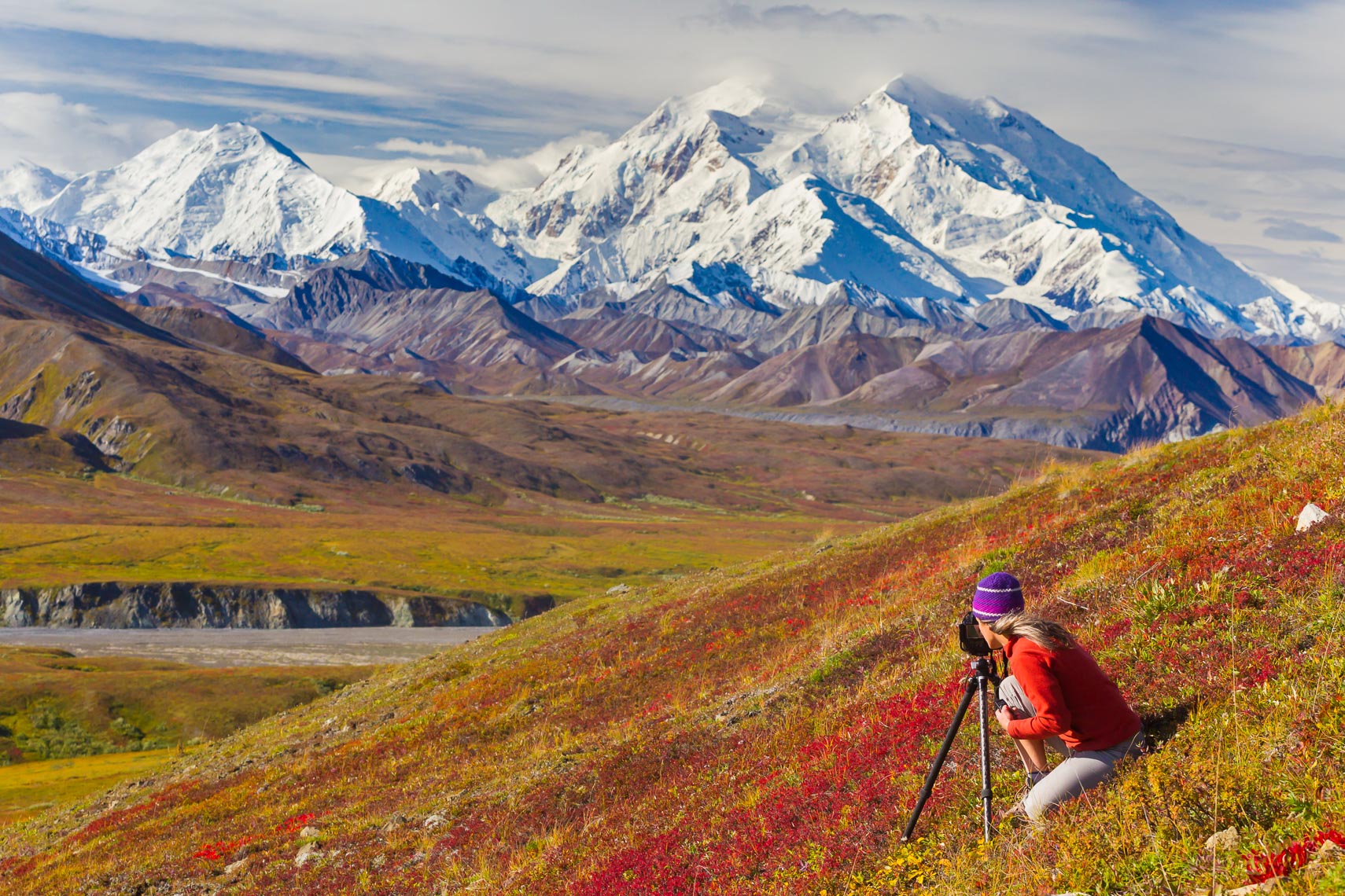 Photographing in Denali National Park | Michael DeYoung
