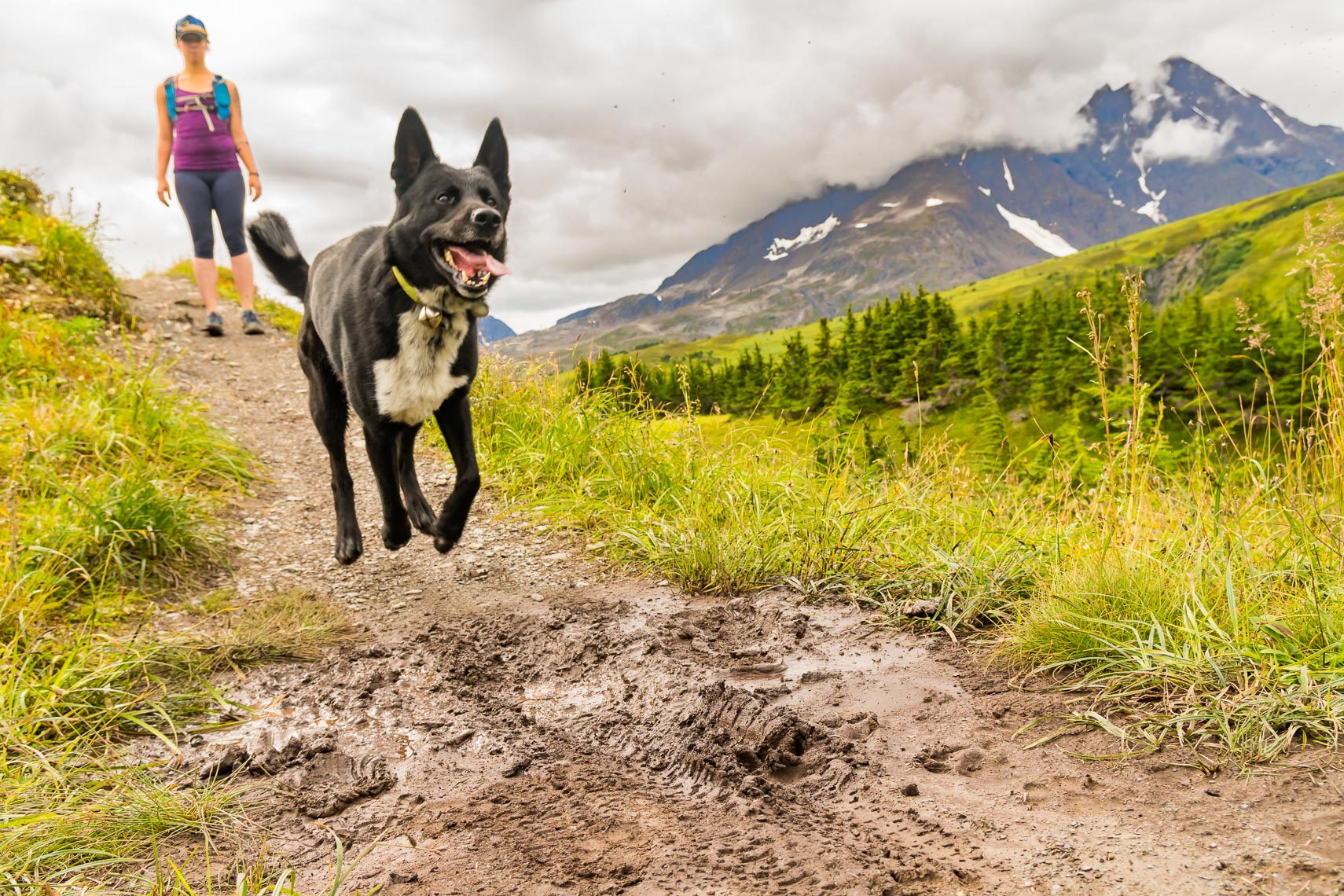 Alaska Seward Hiking Trail with Dog | Michael DeYoung