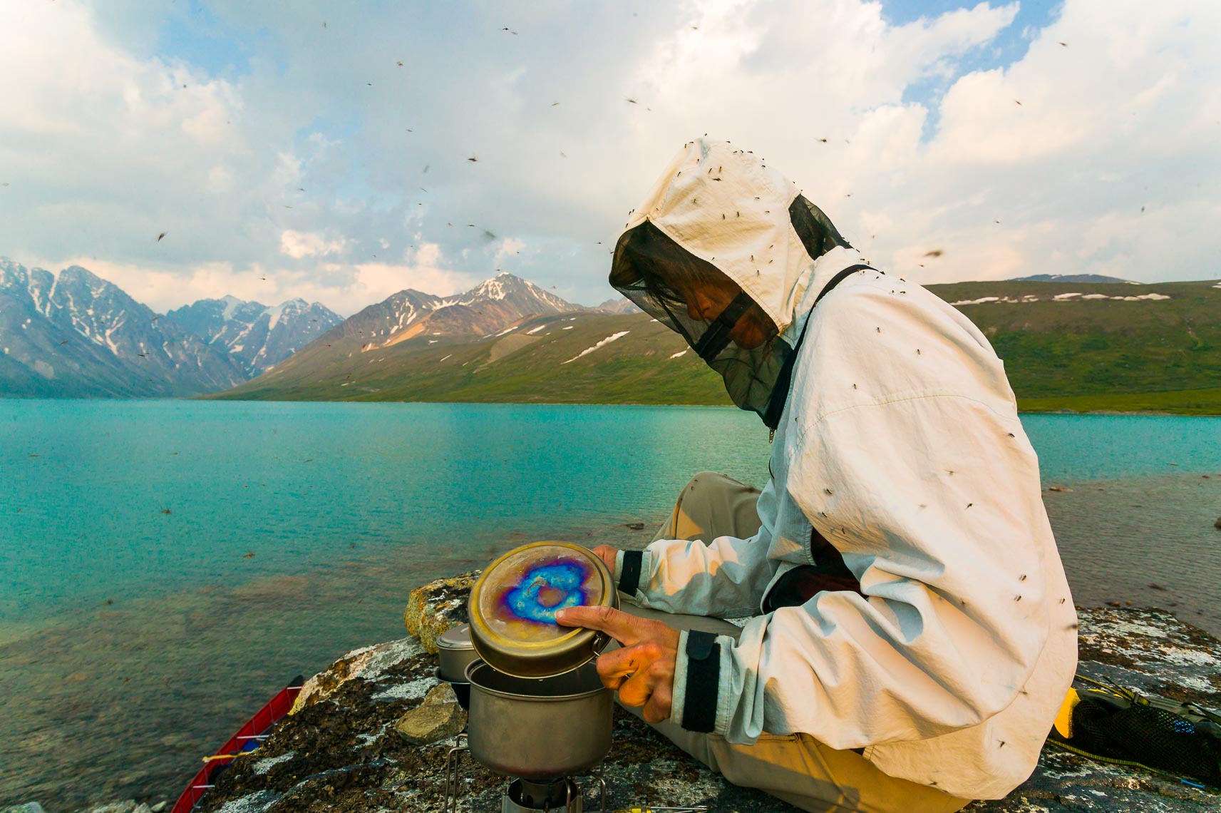 Work Outside Alaska Mosquitoes | Michael DeYoung