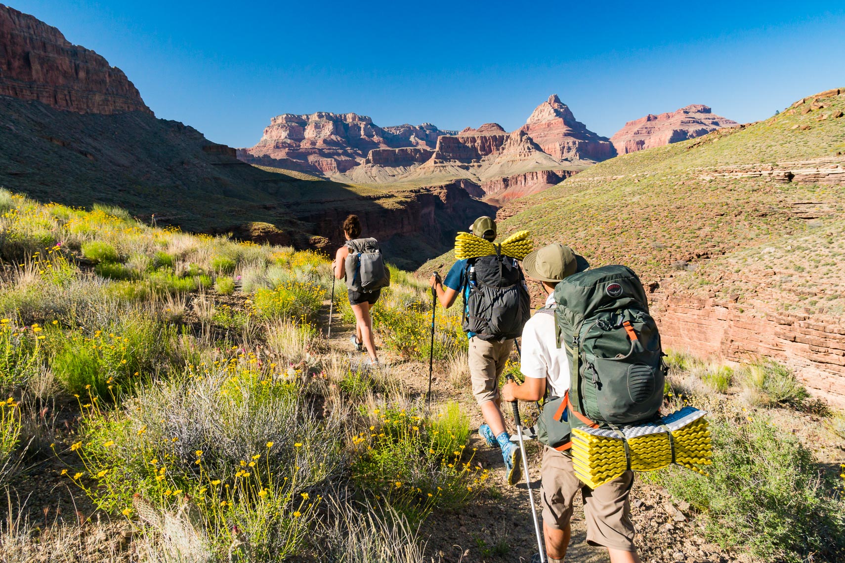 Grand Canyon Backpackers Off Corridor Trail | Michael DeYoung