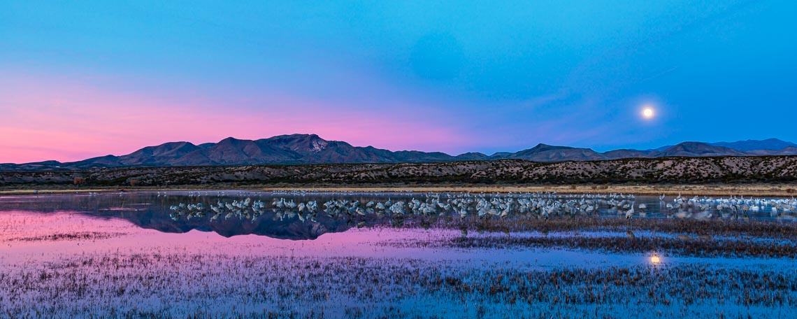 Bosque Del Apache New Mexico Landscape Michael DeYoung