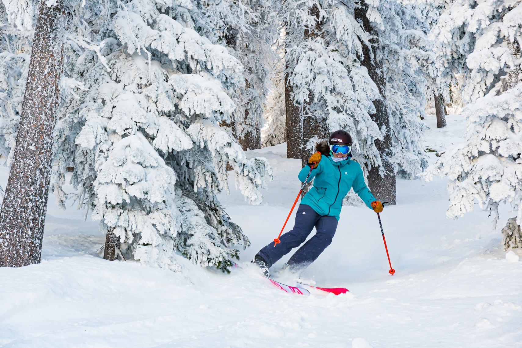 Ski Tree Run Taos Ski Valley | Photographer Michael DeYoung