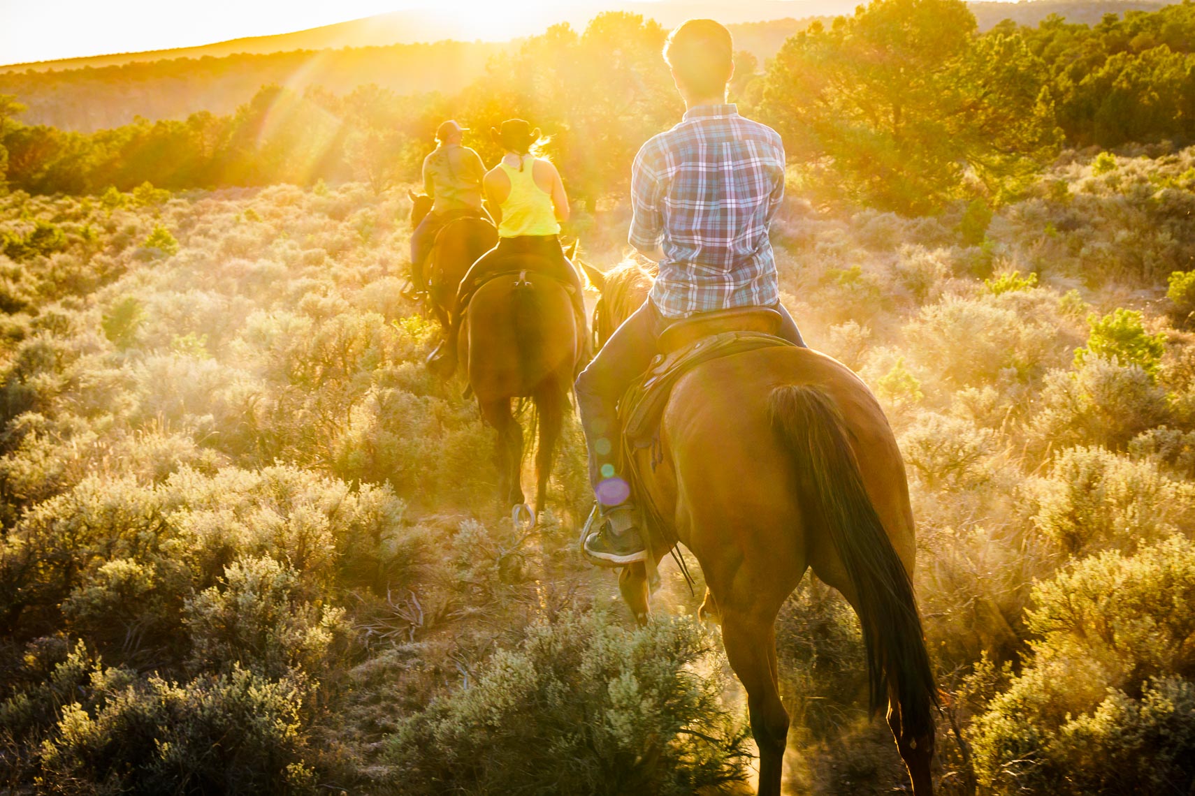 Visit Taos Rio Grande Stables Trail Ride | Michael DeYoung