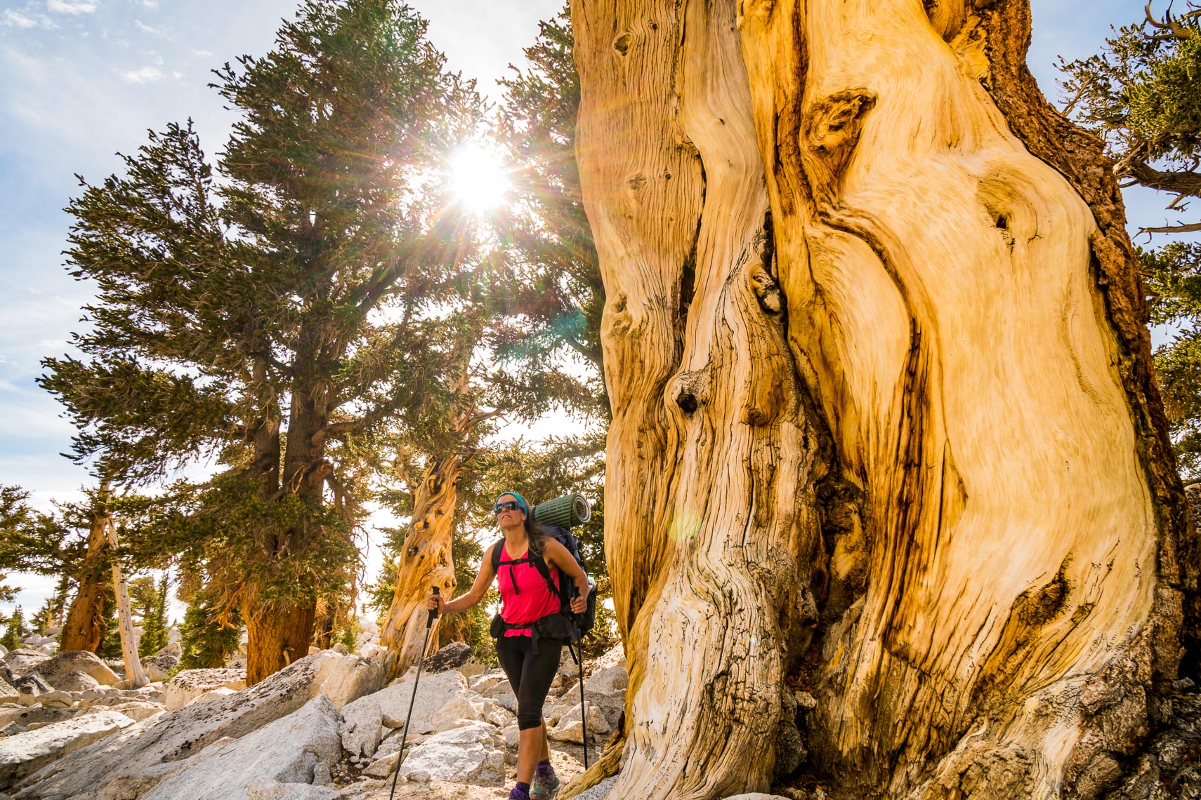 Sequoia National Park PCT Hike | Michael DeYoung