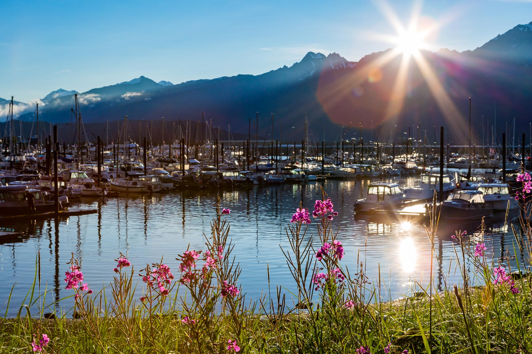 Alaska Tourism Seward Boat Harbor | Michael DeYoung