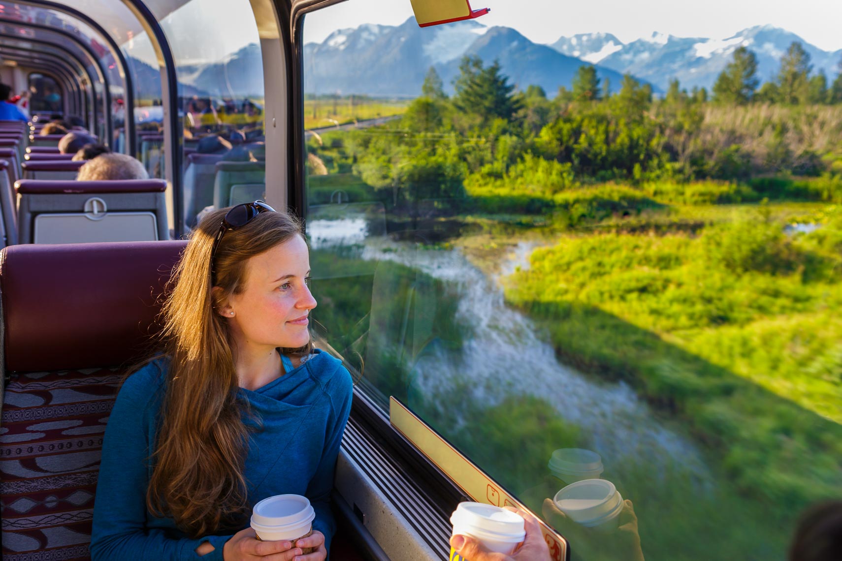 Alaska Railroad Travel View From Train | Michael DeYoung